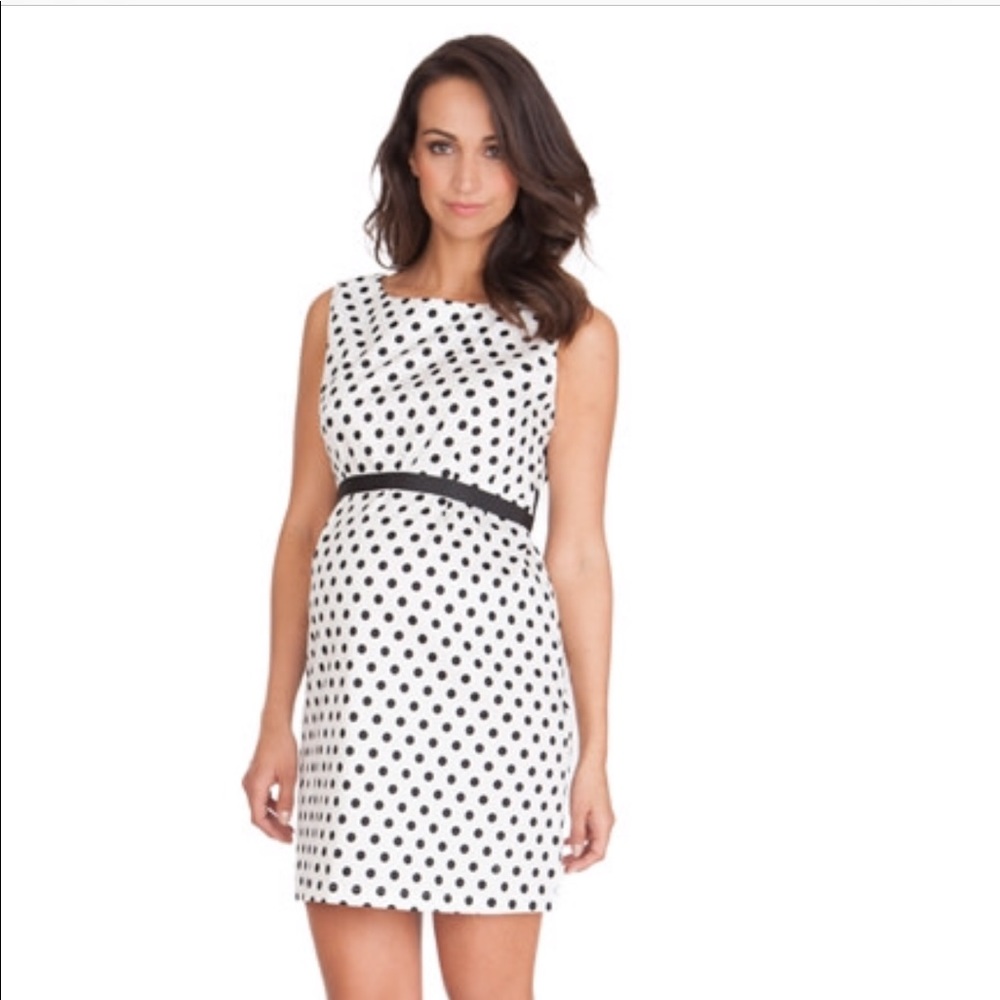 Seraphine Martina Polka Dot Maternity Dress- NWT